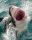 Accidental Death and Dismemberment Coverage